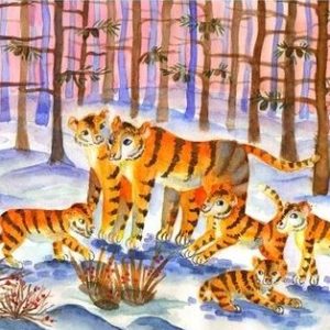 Exploring Animals and Their Habitats Exploring Animals and Their Habitats