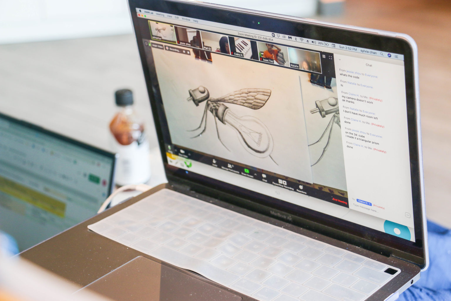 Online Digital Art (iPad/Drawing Tablet) Creative Genius Academy